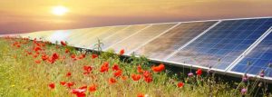panneaux-solaires-écologiques-environnement-geste