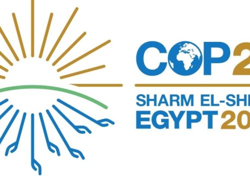 COP 27 : De quoi l’édition égyptienne est-elle le nom ?